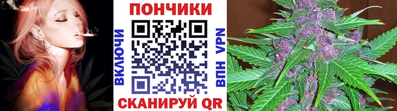 купить   Томари  Марихуана марихуана 